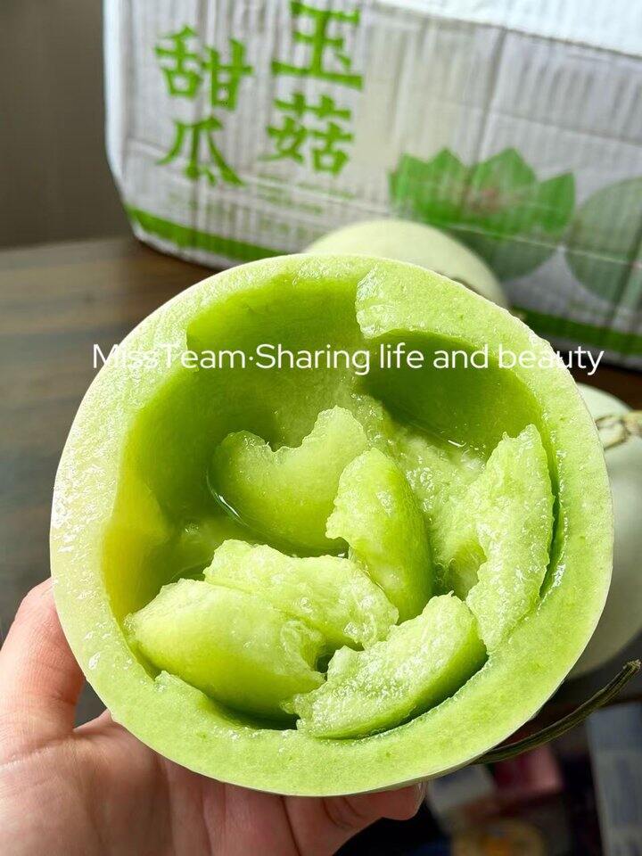 玉菇甜瓜！💰1+