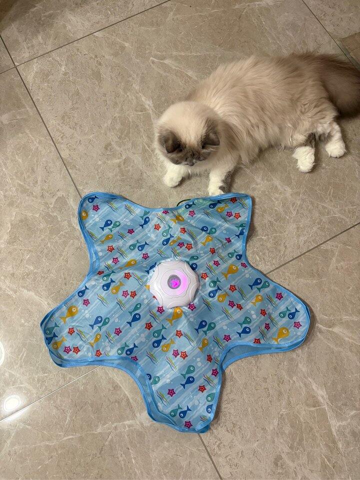 猫玩具