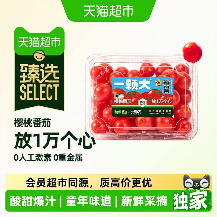 一颗大樱桃红番茄🍅