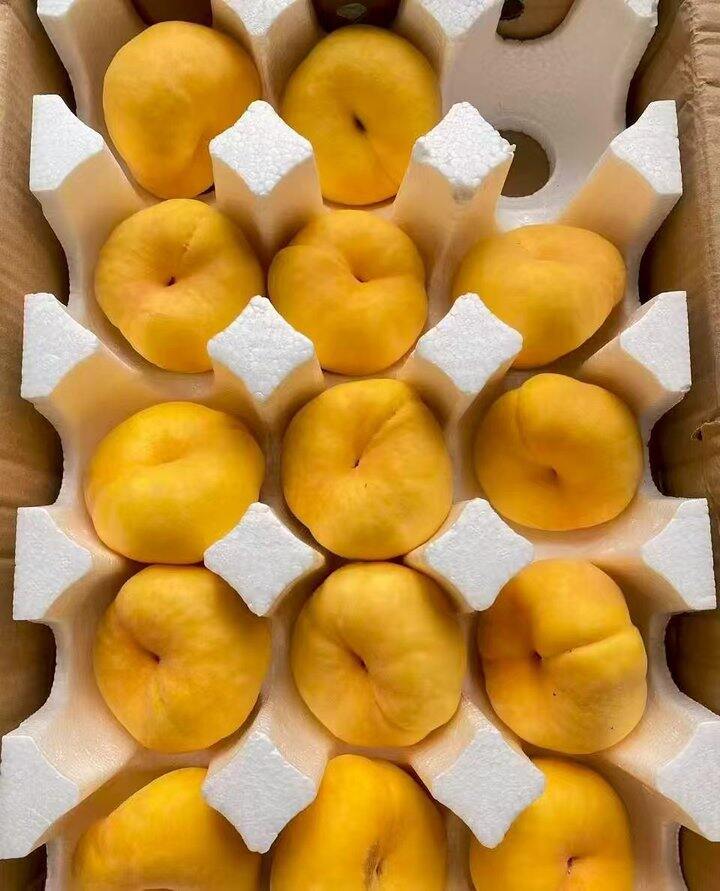 🍎好吃的蒙阴蟠桃