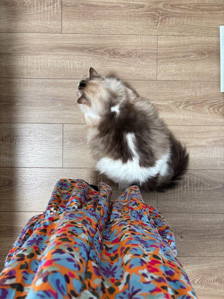 这场大雨终于落下了