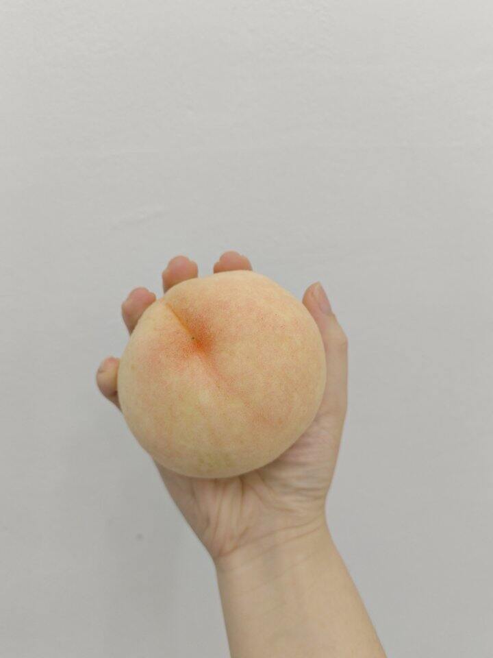 晒单阳山水蜜桃