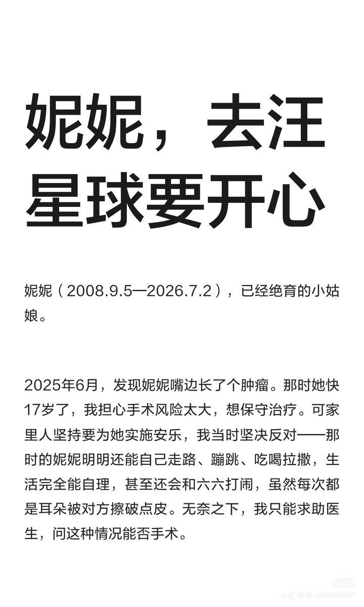 妮妮，去汪星球要开心