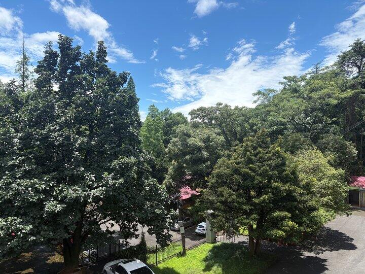 好蓝的天