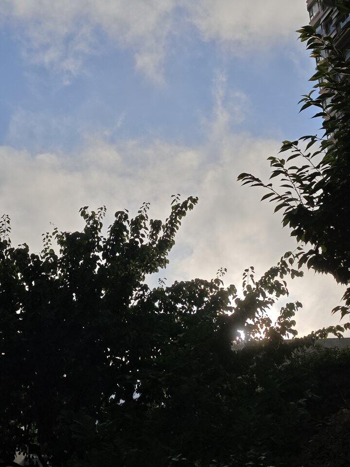 。。