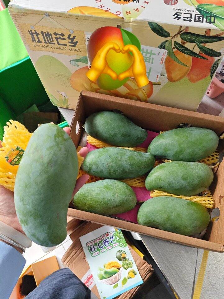 桂七芒果可以买