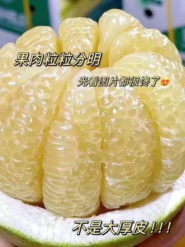 京鲜生傣柚丨9.6/粒