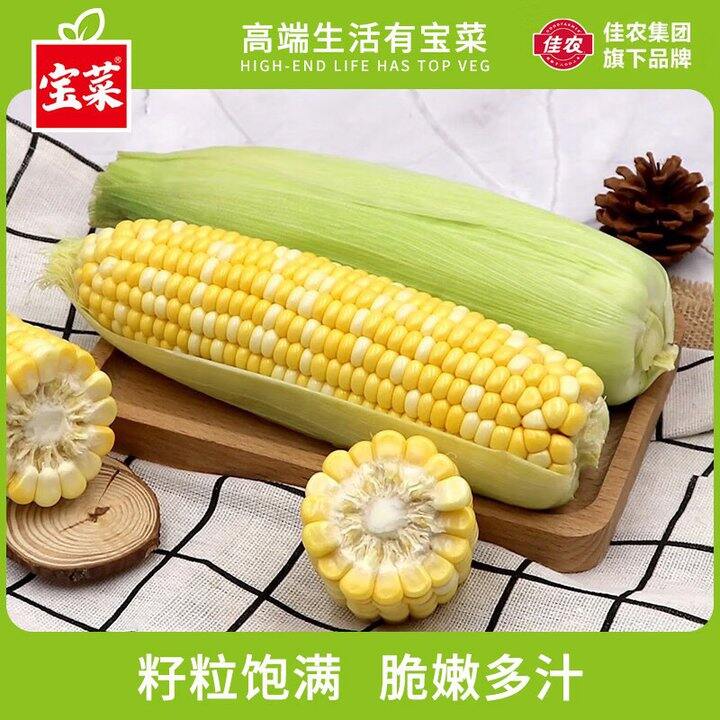 宝菜 金银水果玉米 净重3斤💰9.9