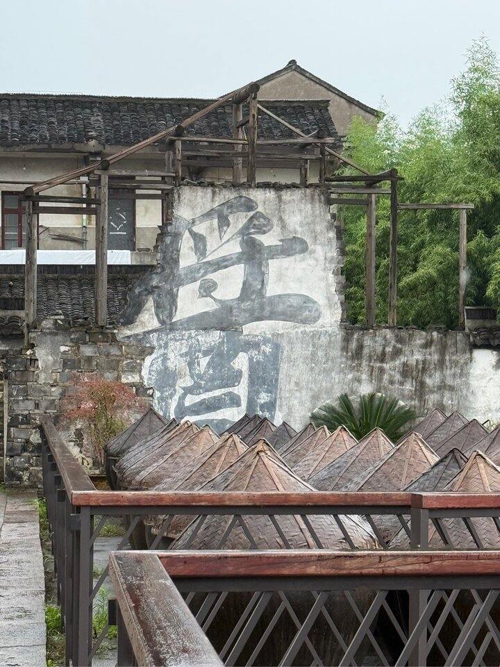 沈荡