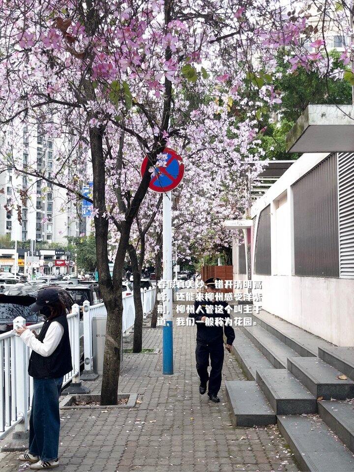 白开水般的日子