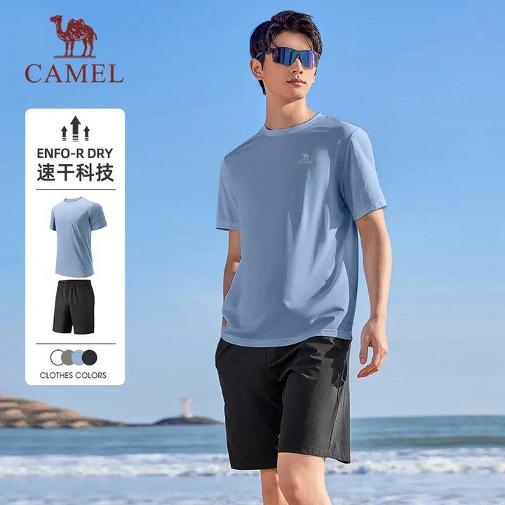 骆驼，28