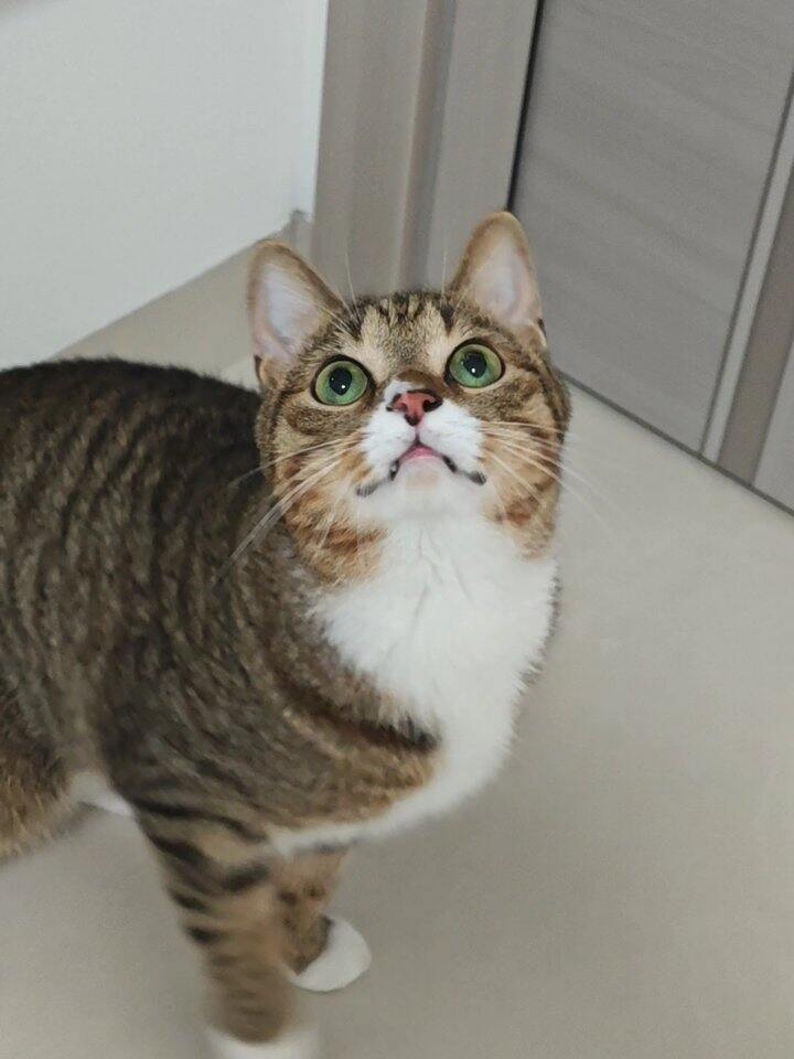 今天开了一个好头