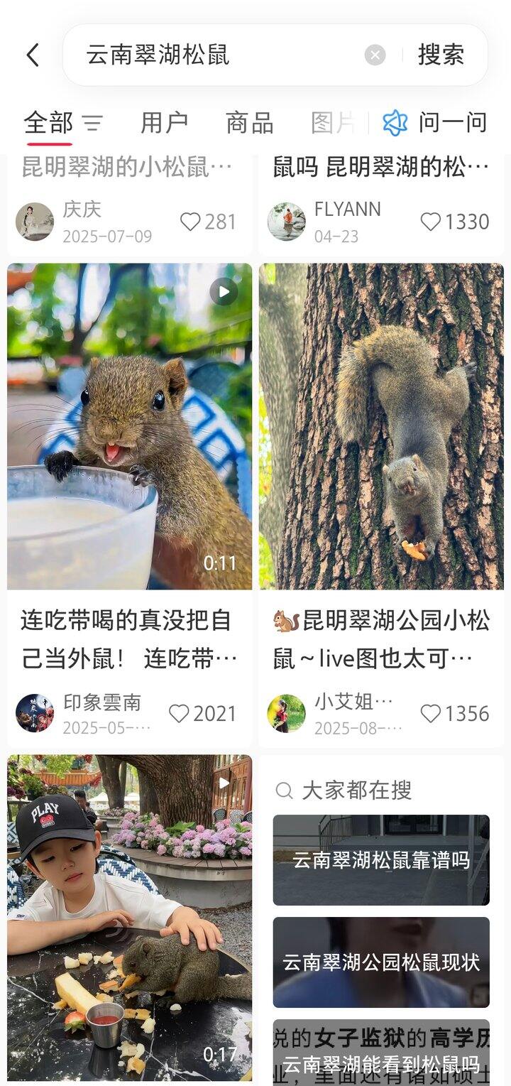 这也太可爱了吧