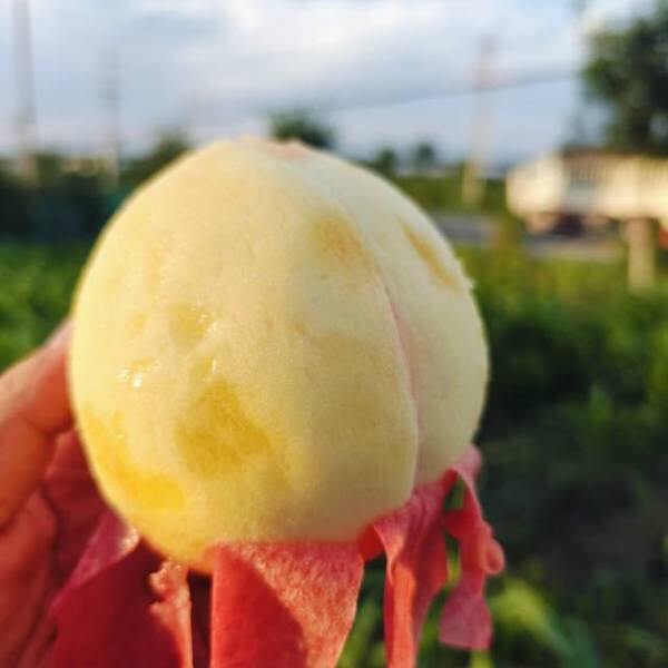 【冰淇淋水蜜桃】限时抢购19.9元/箱