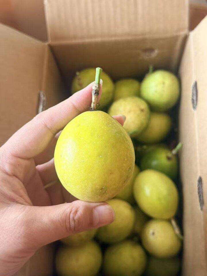 自营百香果