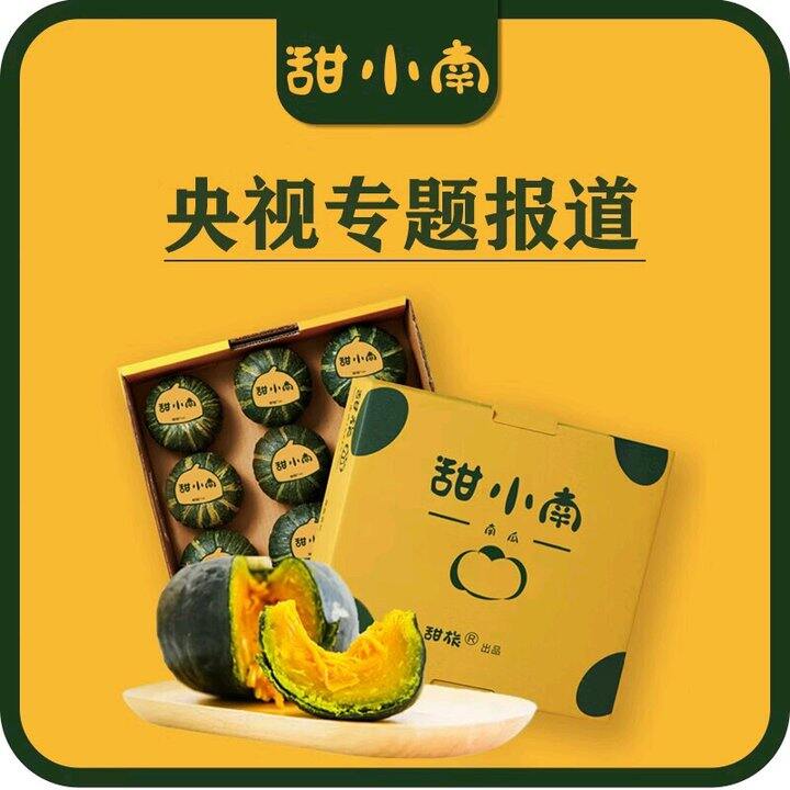 甜小南 贝贝南瓜