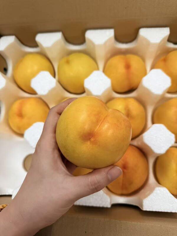 京鲜生山西黄金油桃