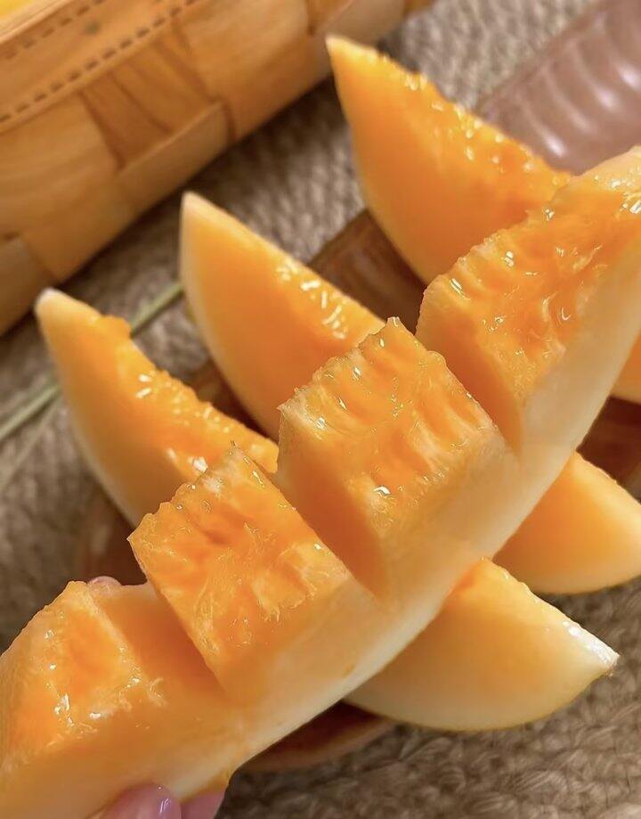 民勤蜜瓜🍈