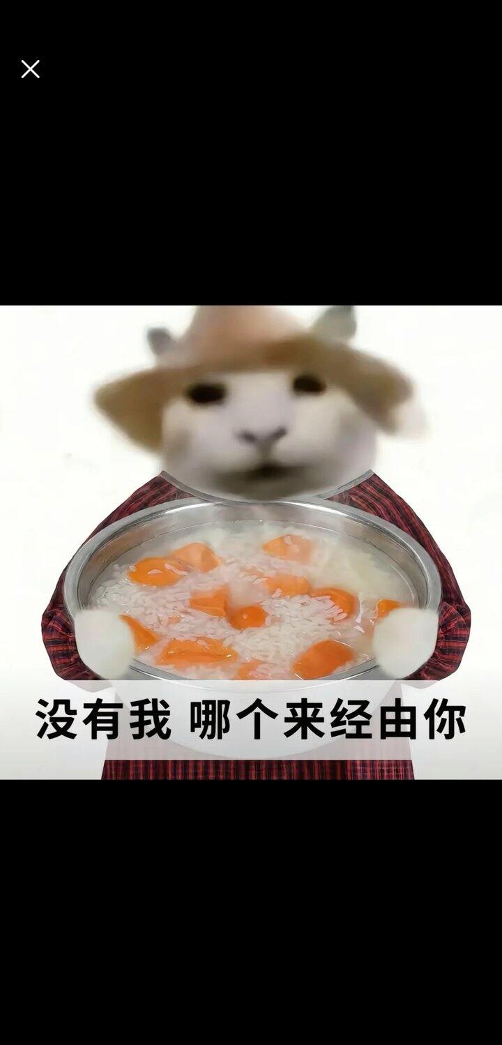 [没有我哪个来经由你]