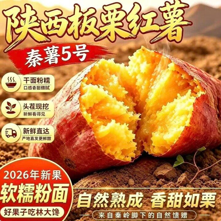 板栗红薯4.7斤16.9