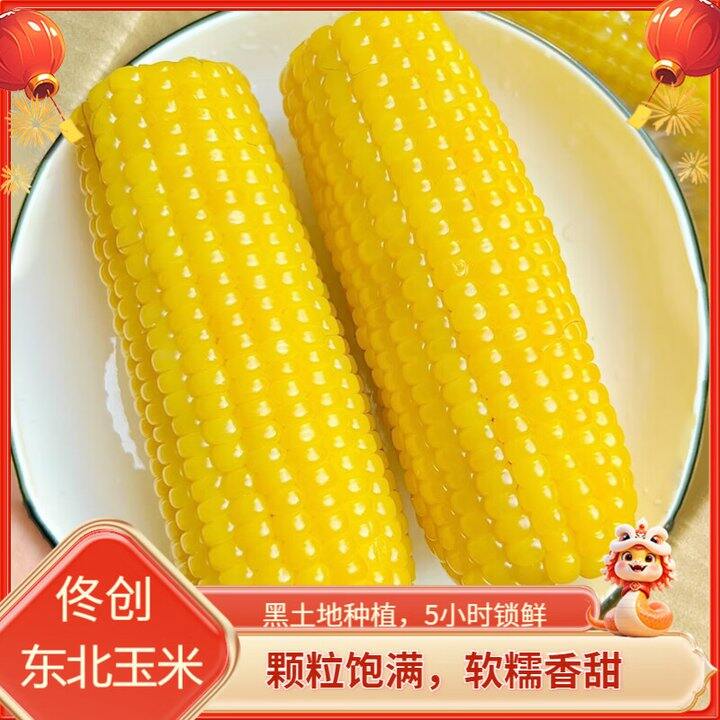 东北黄糯玉米10根16.9