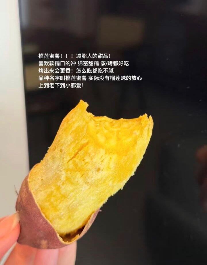 地瓜合集！💰10+