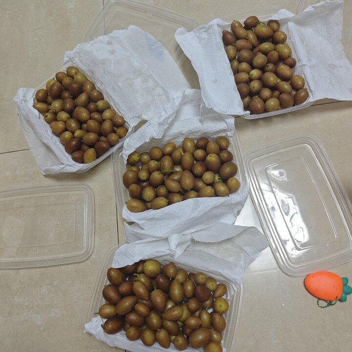上条的黄皮又买了五斤这次的更新鲜了