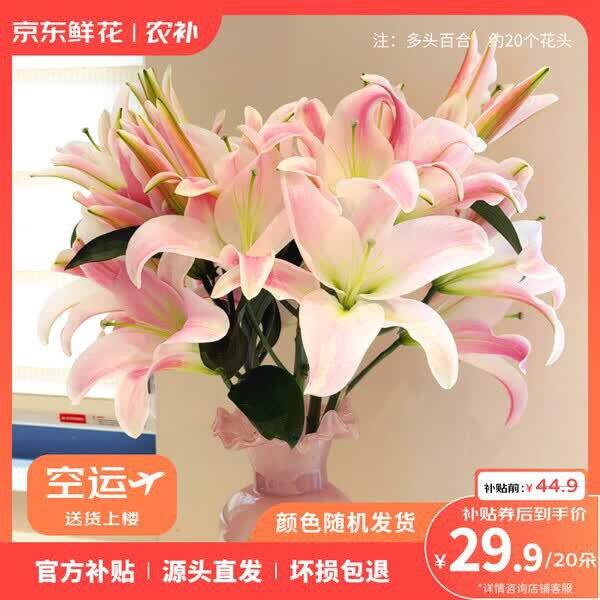 自营京东鲜花💐