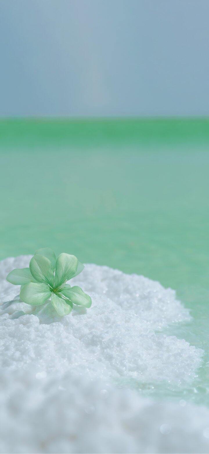 分享我的夏日最爱壁纸