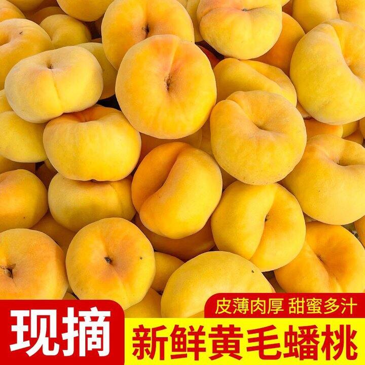 升阳 现摘黄金蟠桃💰24.9