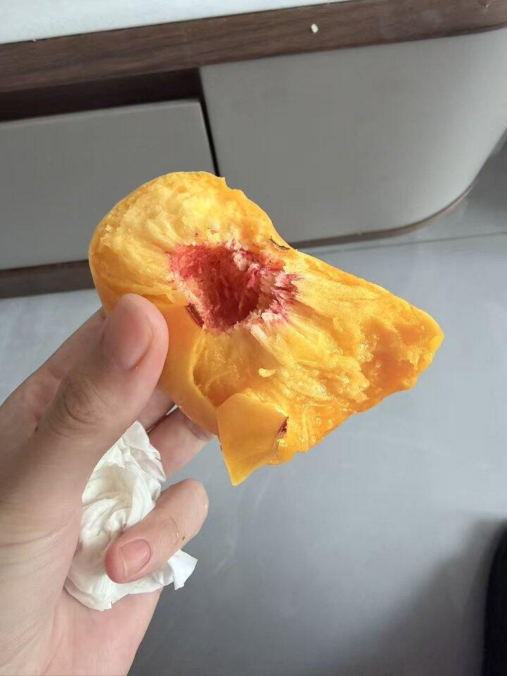 毛桃