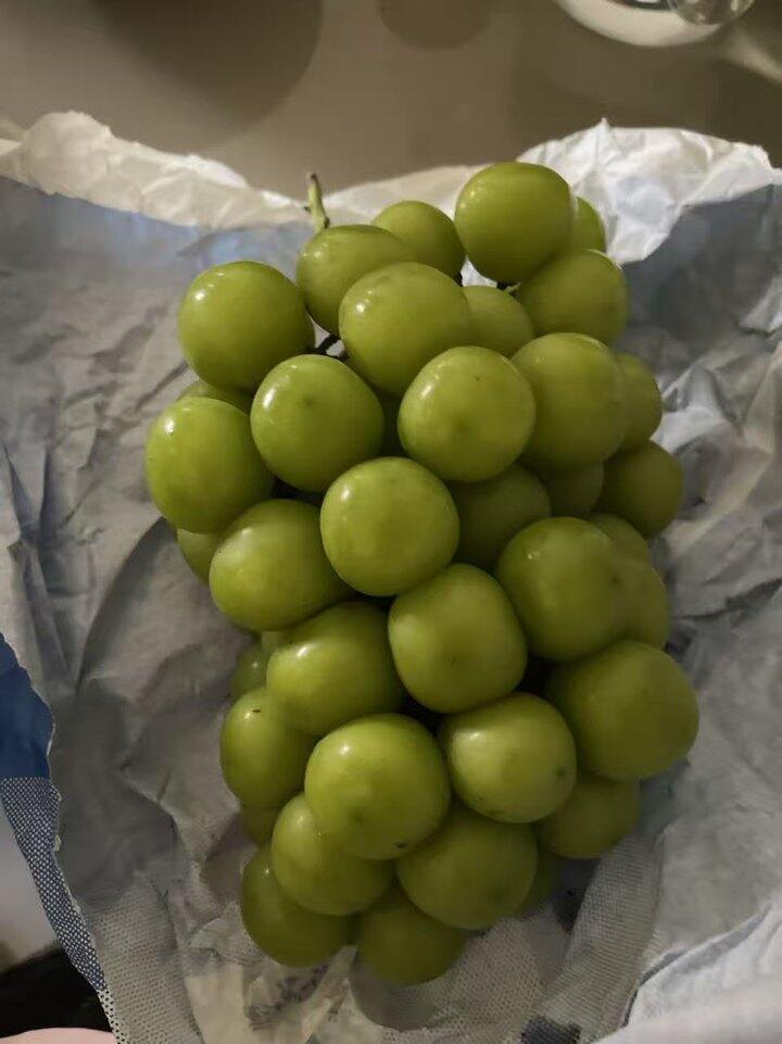 减肥是减不了的，吃吃吃