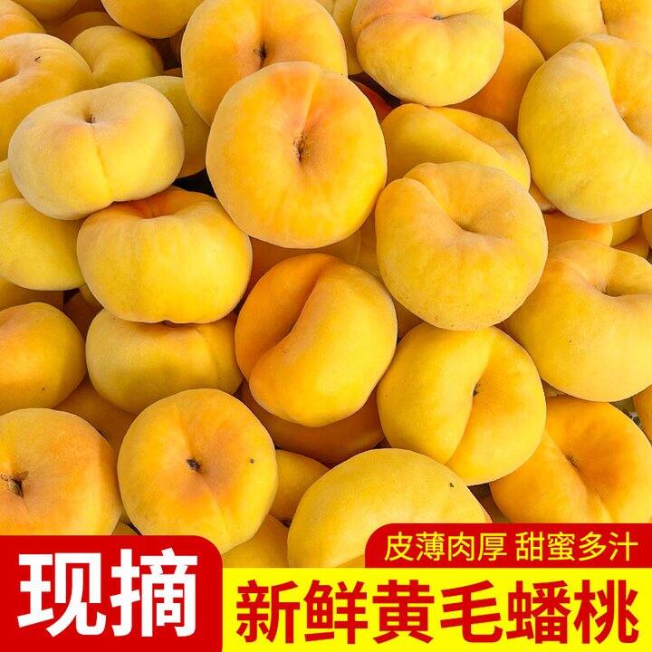 黄金蟠桃4.5斤24.9