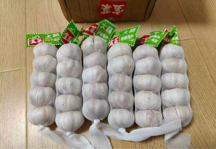 宝菜大蒜紫皮蒜头 厨房必备单品