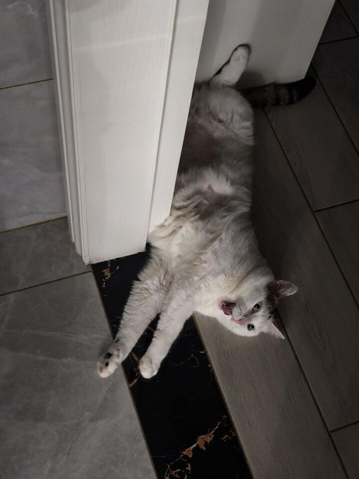 定了携程的团