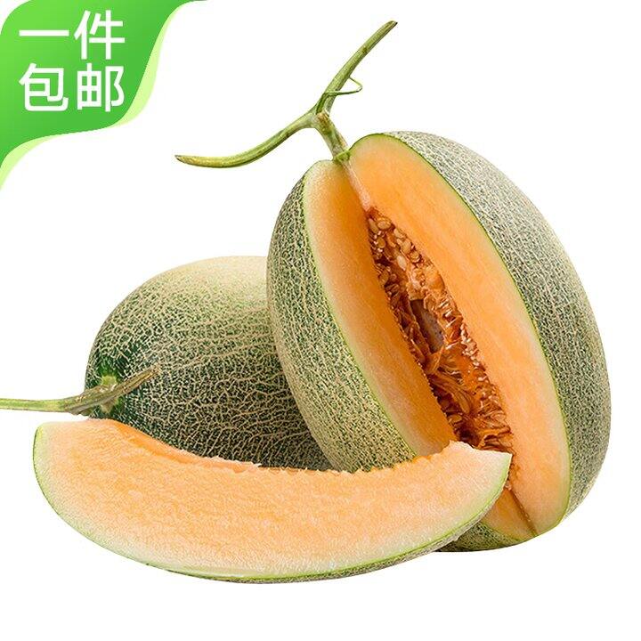哈密瓜9.9