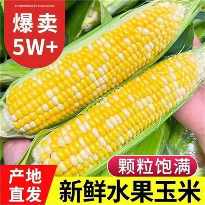 中鲜生 云南水果玉米✖️5斤💰16.8