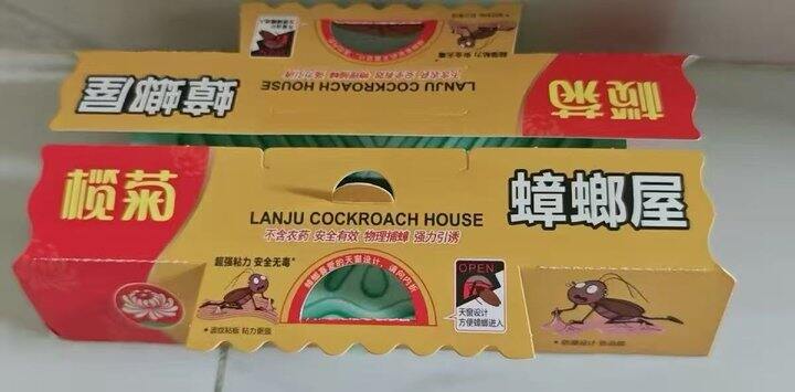 蟑螂屋