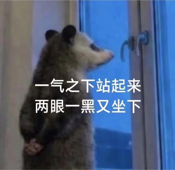 买一体式夏季挡风被还是买单独的车把手套哇