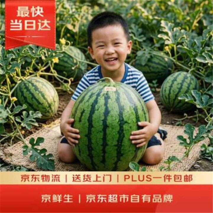 自营京鲜生水果🈴