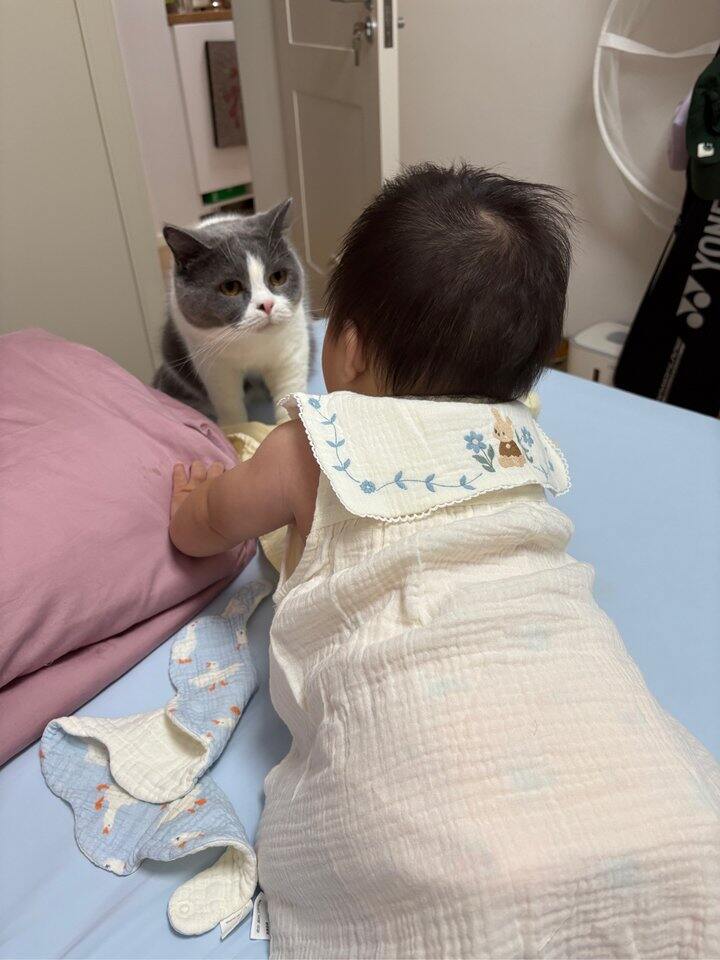 值得买｜乖奇熊的小裙子