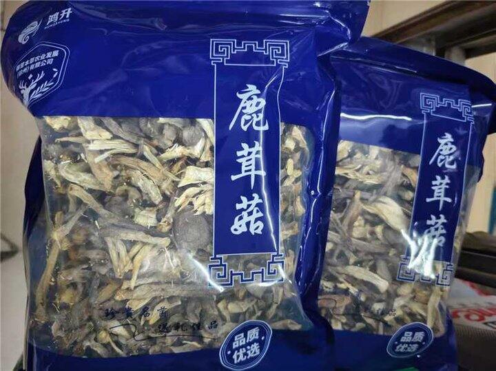 鹿茸菇