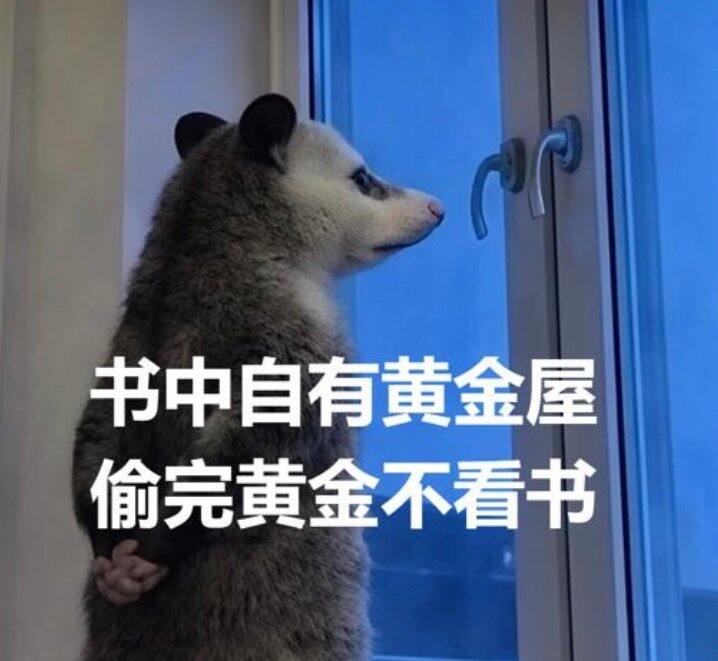 小说合集369 上海台风啦
