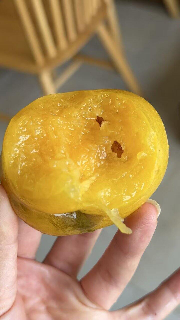 李子