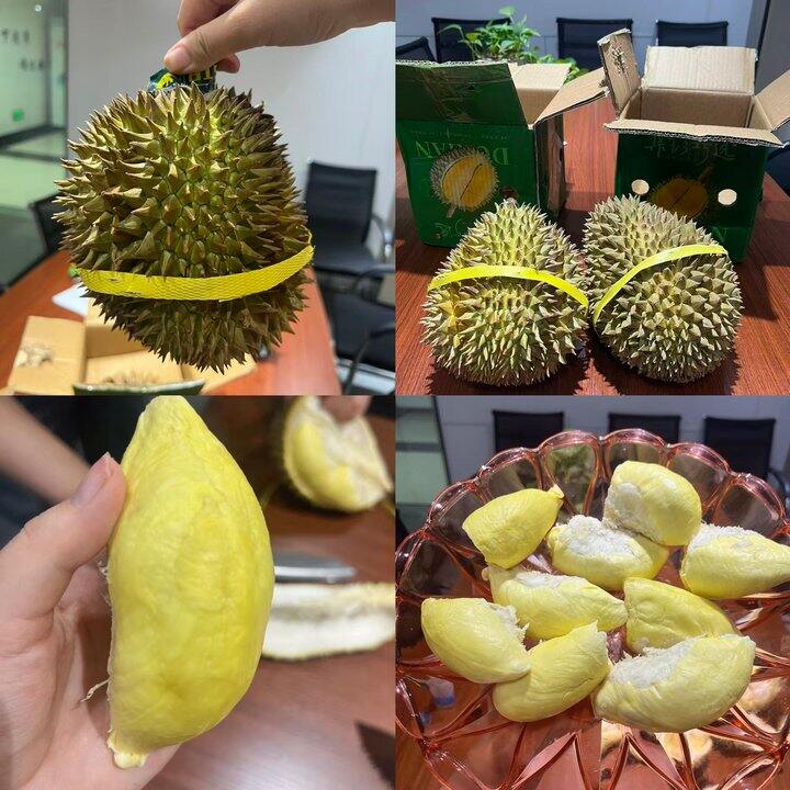 才12.9一斤❗️金枕榴莲神价 现货