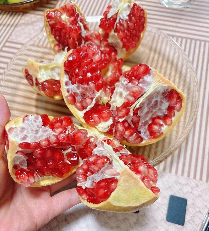 自营石榴