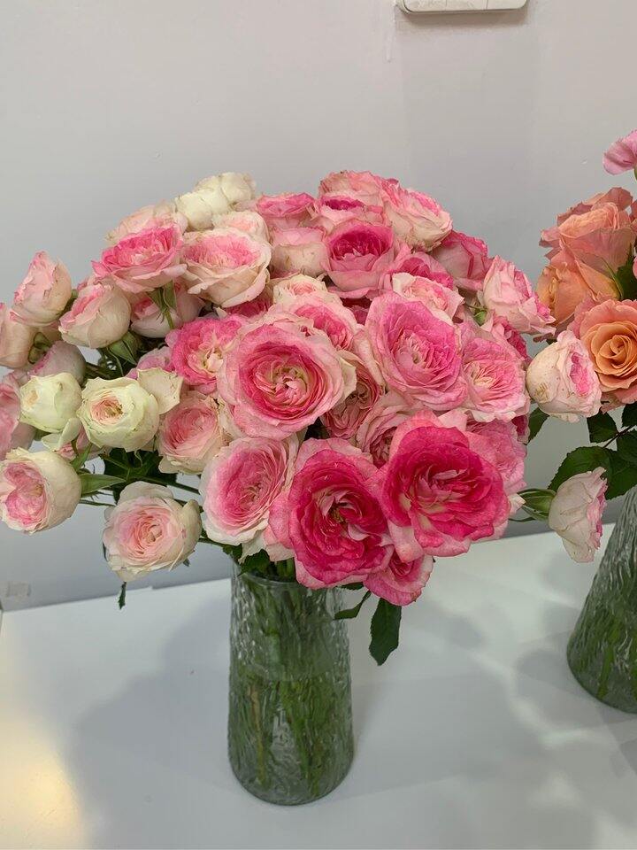 分享美丽花花