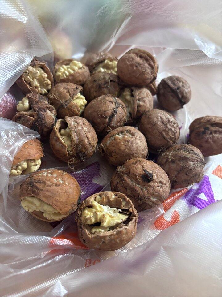 超爱吃湿核桃