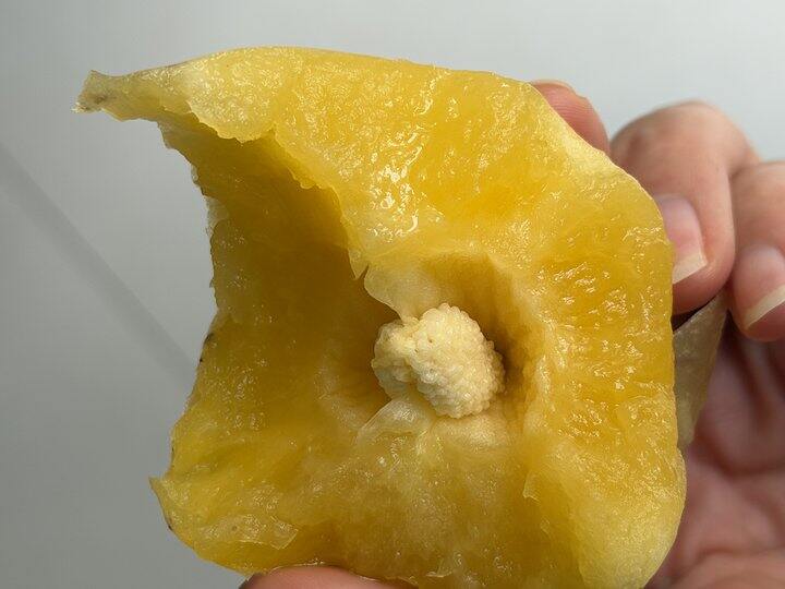 人参果好吃