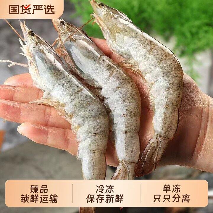 厄瓜尔多白虾30-40规格💰18.6/斤